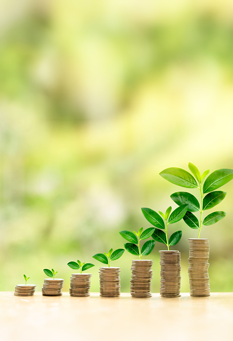 3 plantes, de la plus petite à la plus grande, pour illustrer la page de l'assurance-placement chez DVV 