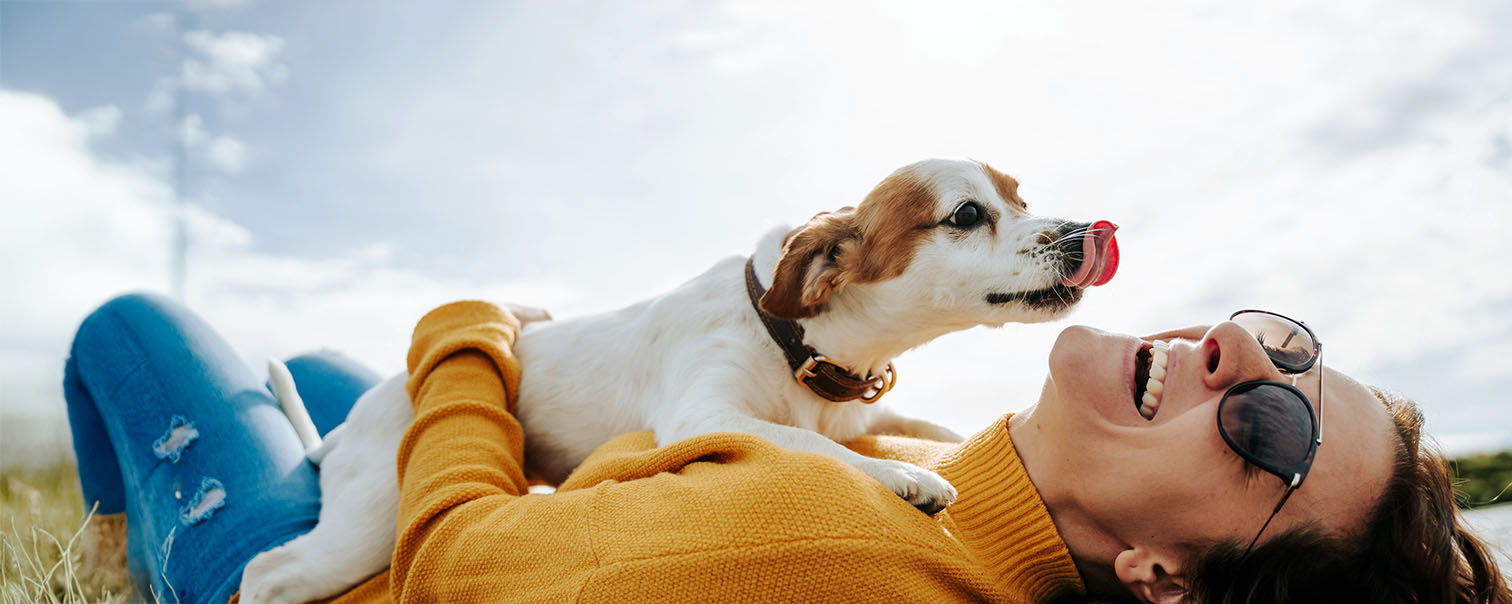 Vrouw op grond met hond op buik als illustratie voor de pagina van de beleggingsverzekering gestructureerde tak 23 van DVV 