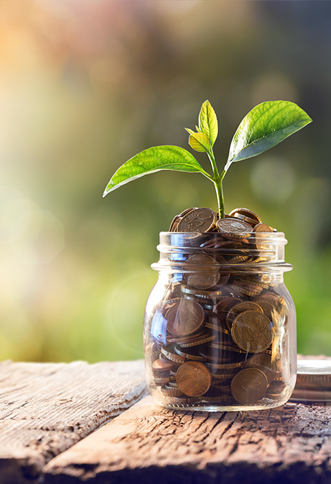 Petite monnaie faisant croitre une plante pour illustrer la croissance pour la page Epargne et placements de DVV