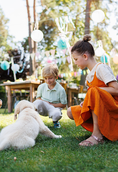 Enfants jouant au jardin avec chien par un beau soleil de printemps pour illustrer la page des assurances pour la famille chez DVV