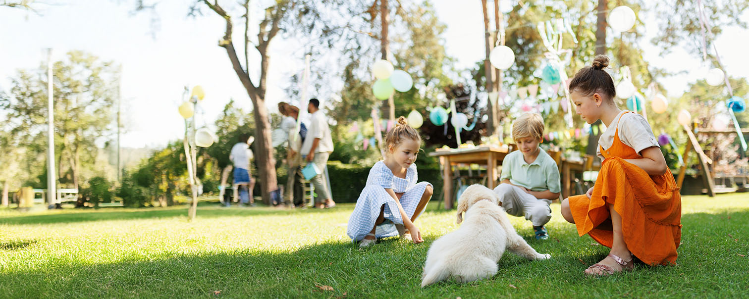 Spelende kinderen in de tuin met hond en stralende lentezon als illustratie voor de pagina verzekeringen voor families bij DVV 